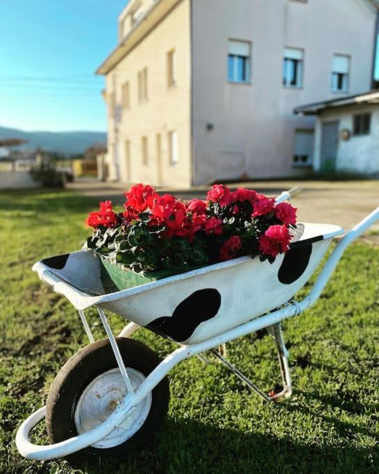 Viviendas Uso Turistico Reme I Foz Buitenkant foto
